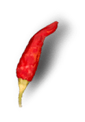 chilli_image_2