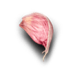 garlic-2_image_2