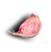 garlic-3_image_3